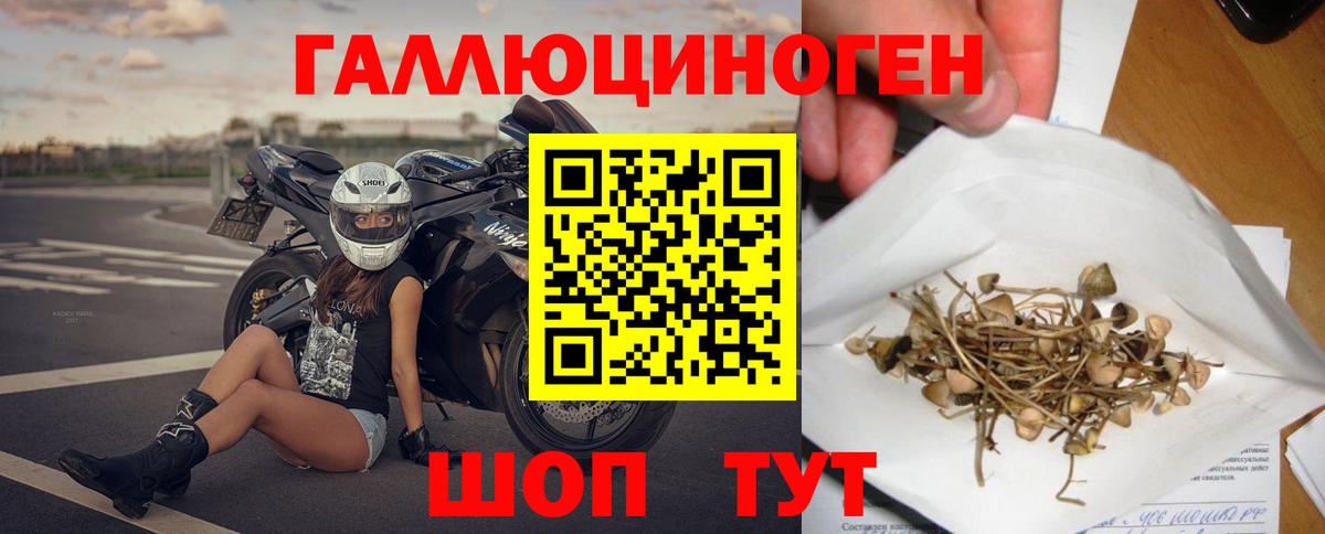 Галлюциногенные грибы Psilocybe  Галлюциногенные грибы мухоморы  где можно купить наркотик  Вход с VPN  Звенигород 